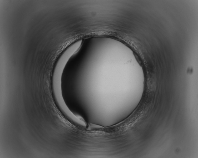 X0000098030393200804251420