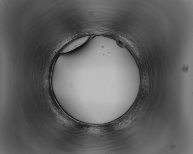 X0000098030394200804251420