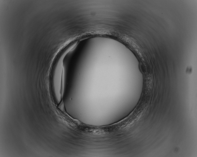 X0000098030395200804251420