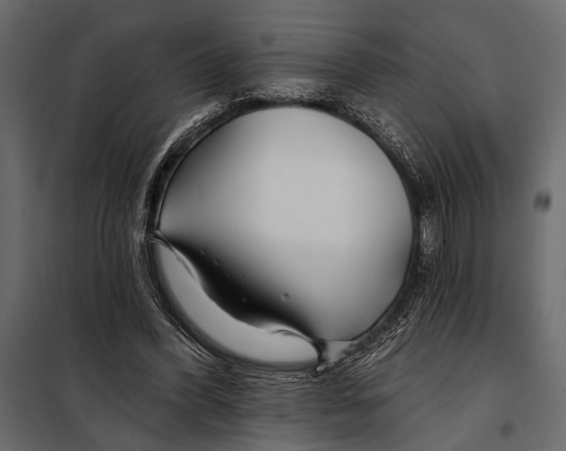 X0000098030396200804251420