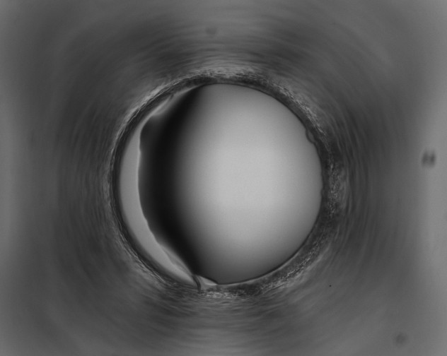 X0000098030399200804251420