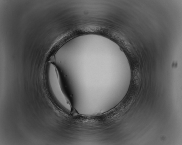 X0000098030400200804251420