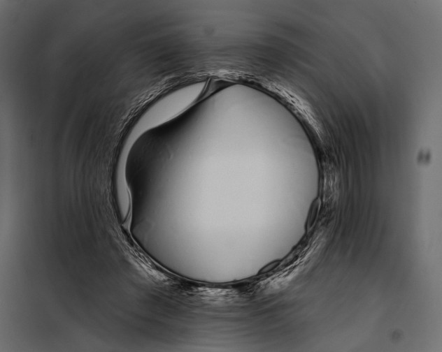 X0000098030401200804251420