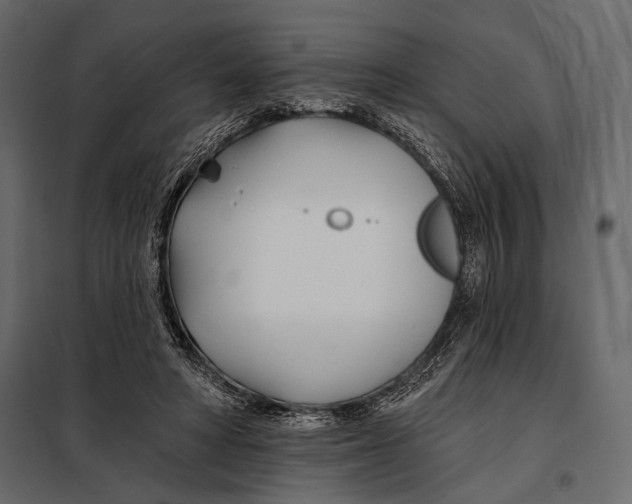 X0000098030402200804251420