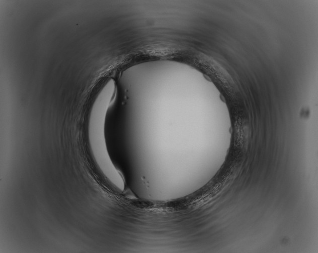 X0000098030404200804251420