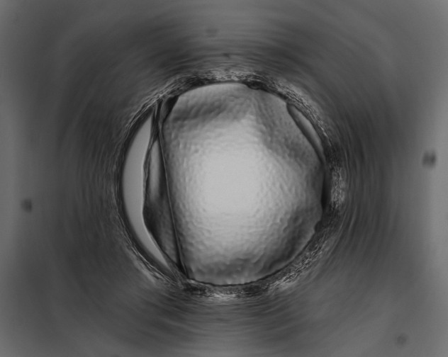 X0000098030405200804251420