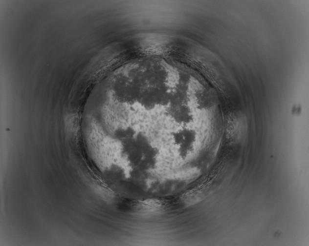 X0000098030409200804251420