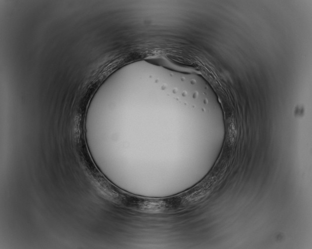 X0000098030410200804251420