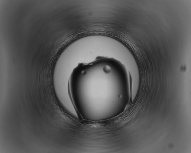 X0000098030411200804251420