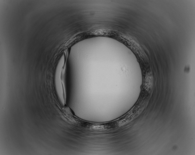 X0000098030413200804251419