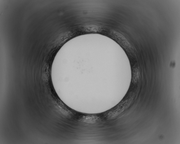 X0000098030414200804251419