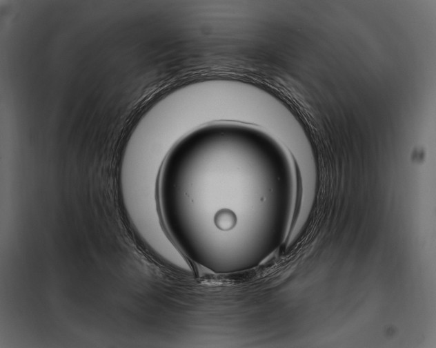 X0000098030415200804251419