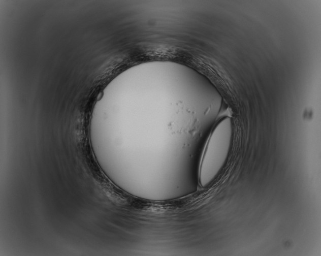 X0000098030416200804251419