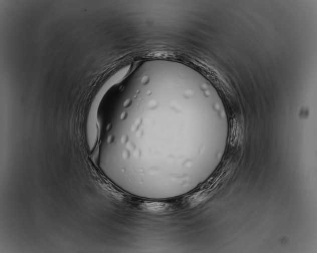 X0000098030417200804251419