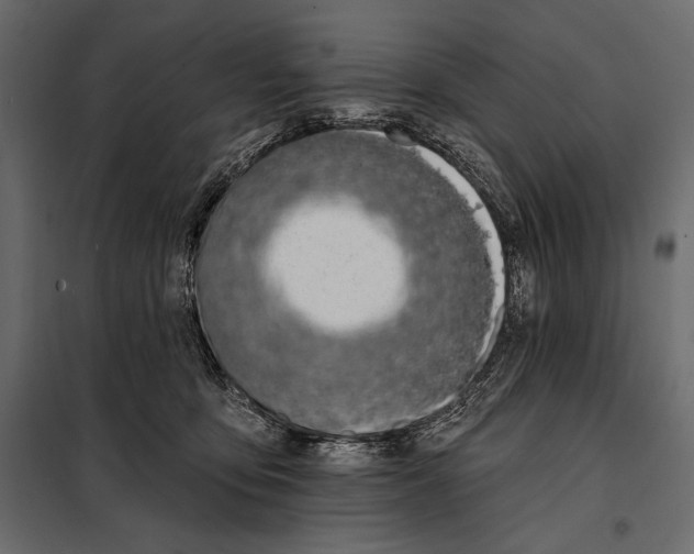 X0000098030419200804251419