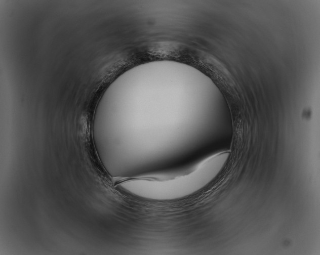 X0000098030420200804251419