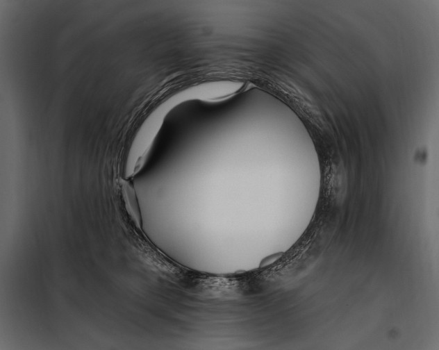 X0000098030421200804251419