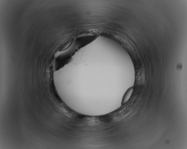 X0000098030424200804251419