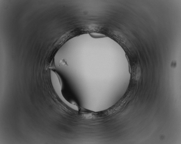 X0000098030425200804251419