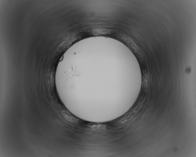 X0000098030426200804251419