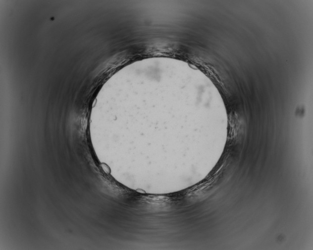 X0000098030427200804251419