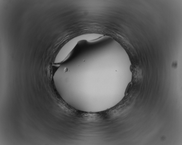 X0000098030428200804251419