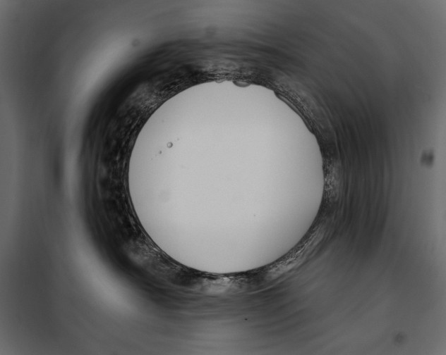 X0000098030430200804251419