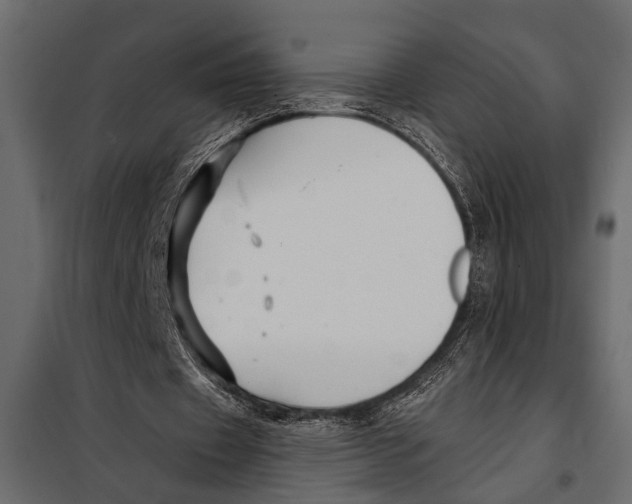 X0000098030433200804251419