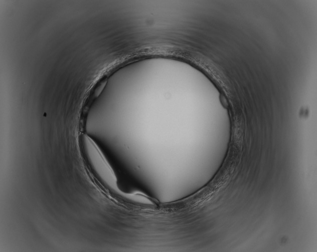 X0000098030434200804251419