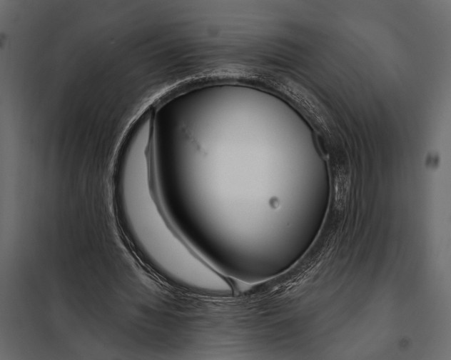 X0000098030436200804251419