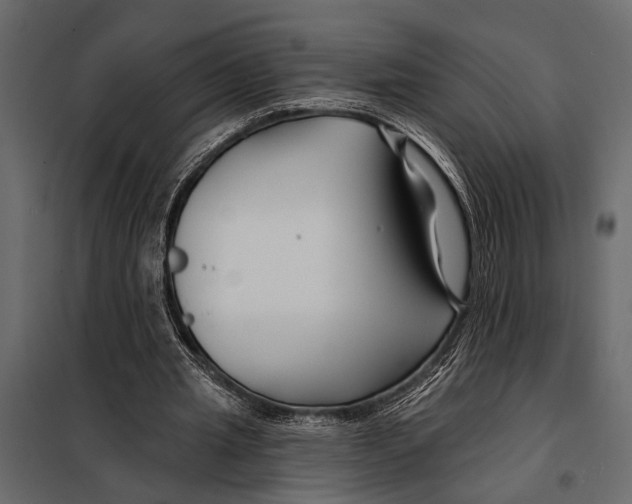 X0000098030437200804251419