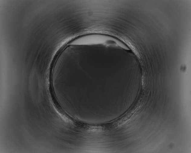 X0000098030438200804251419