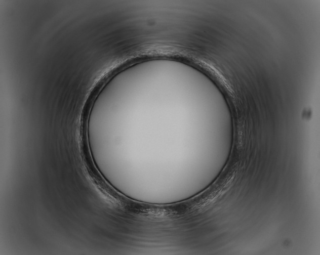 X0000098030439200804251419