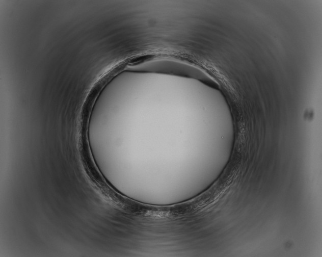 X0000098030440200804251419