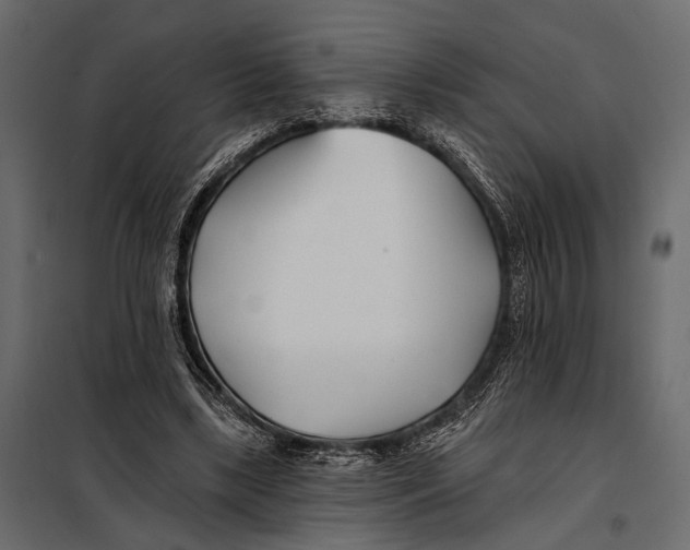 X0000098030443200804251419