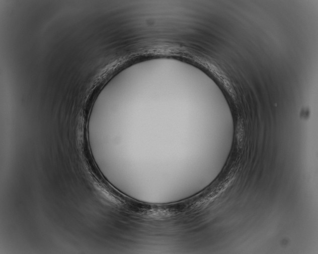 X0000098030445200804251419