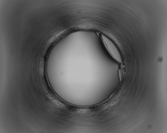 X0000098030446200804251419