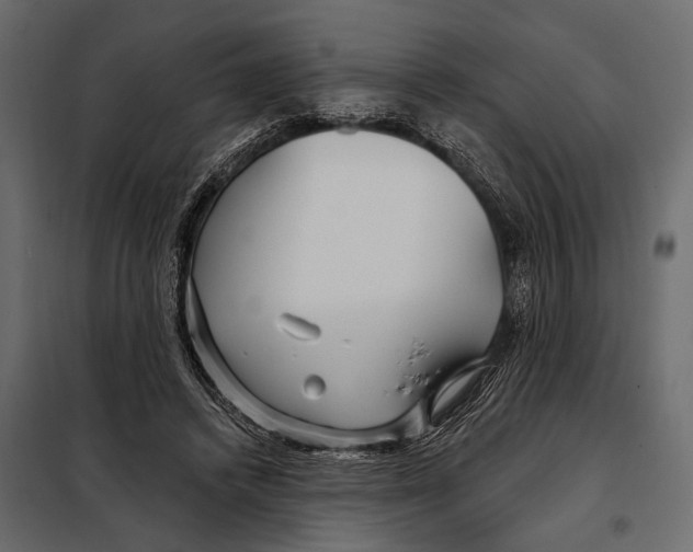 X0000098030448200804251419