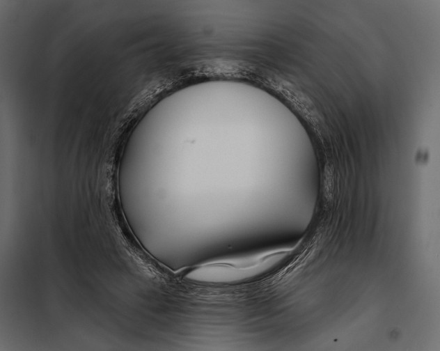 X0000098030449200804251419