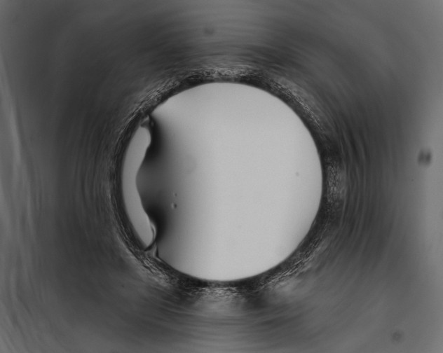 X0000098030451200804251419