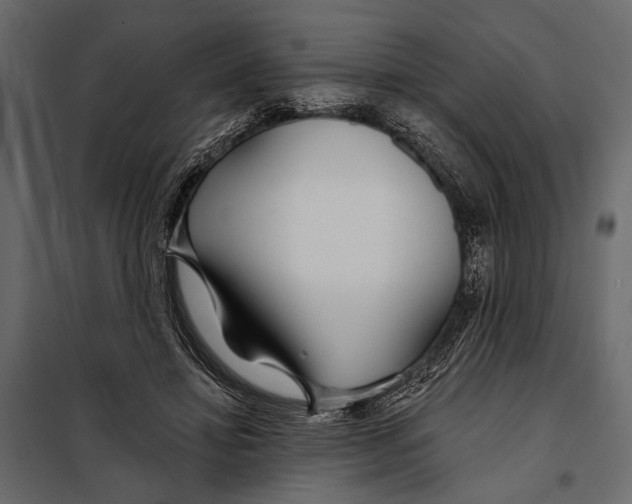 X0000098030452200804251419