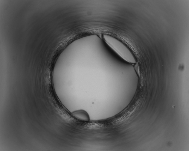 X0000098030453200804251419