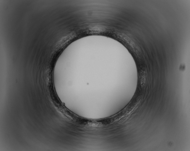 X0000098030455200804251419