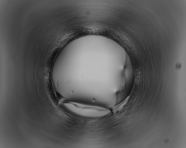 X0000098030456200804251419