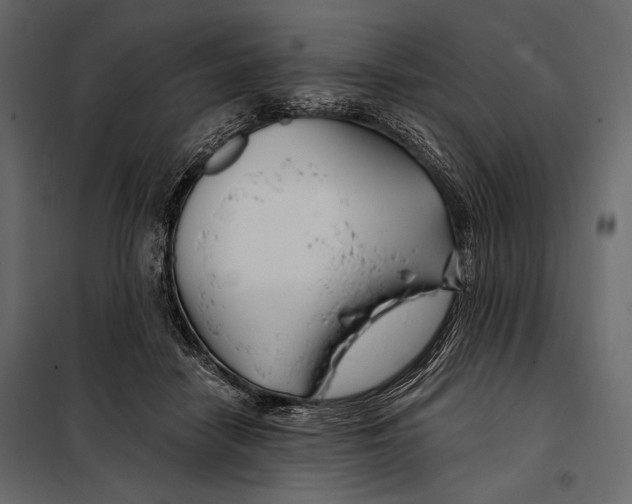 X0000098030458200804251419