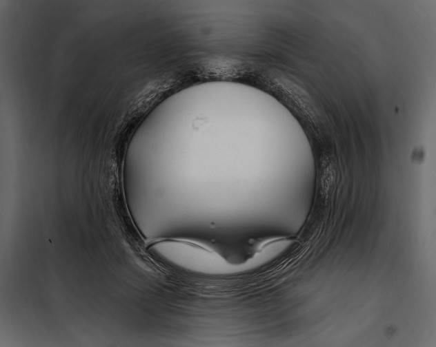 X0000098030459200804251419