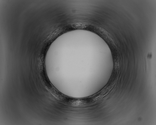 X0000098030460200804251419