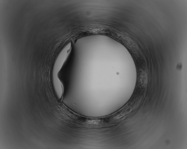 X0000098030461200804251419