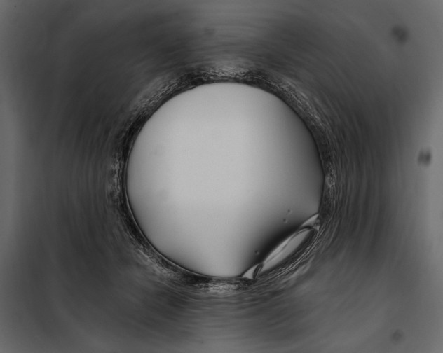 X0000098030462200804251419