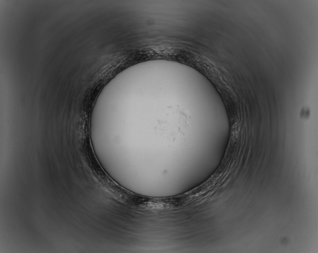 X0000098030464200804251419